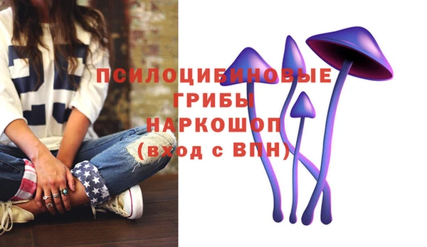 кристаллы Бородино