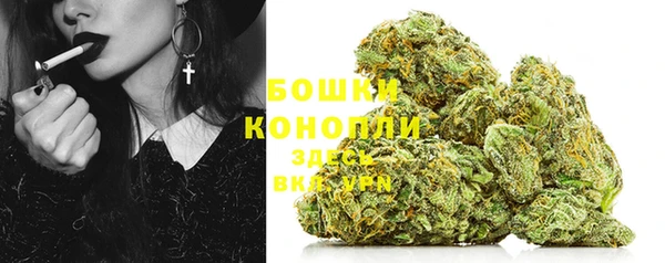 гашик Бронницы