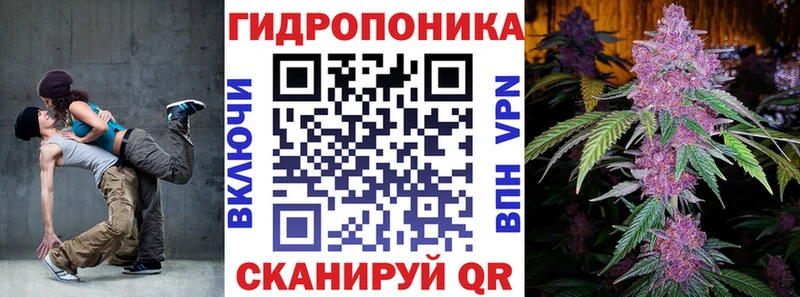 Шишки марихуана планчик  Берёзовка 